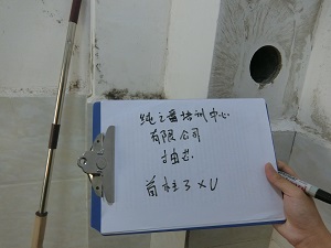 9909900藏宝阁香港马