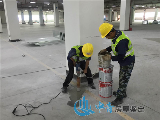 厂房承重检测的检测内容主要针对建筑物哪里？