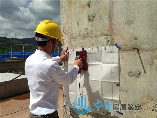 房屋鉴定机构出具的检测报告包含哪些内容？