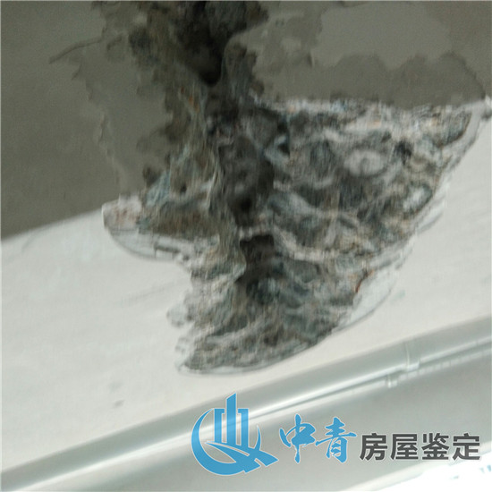 9909900藏宝阁香港马
