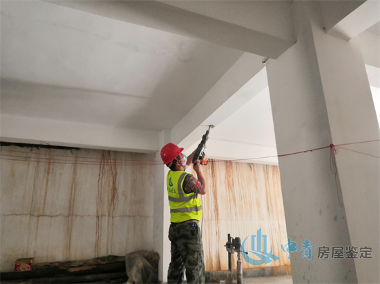 什么房屋需要进行房屋结构安全性检测？