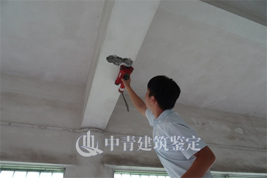 房屋安全鉴定建筑安全性成为热门话题
