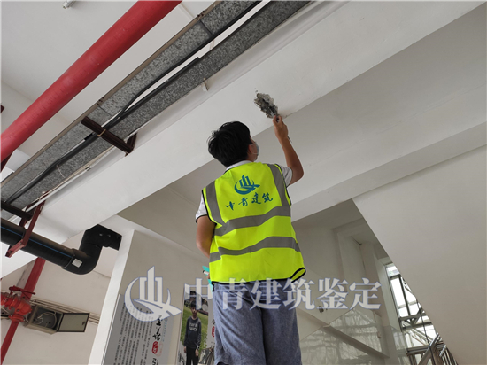房屋鉴定为c级危房怎么办
