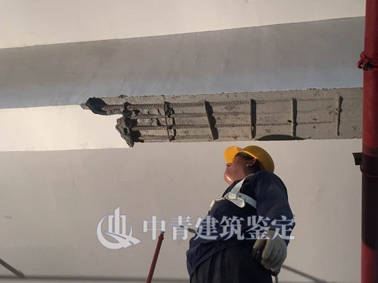 9909900藏宝阁香港马