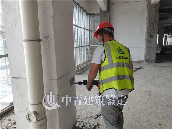 9909900藏宝阁香港马